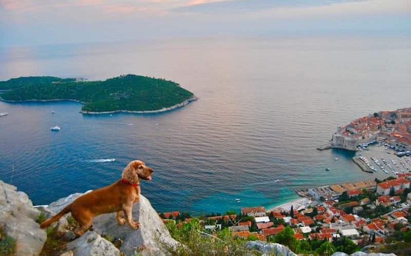 Kroatien Urlaub mit Hund