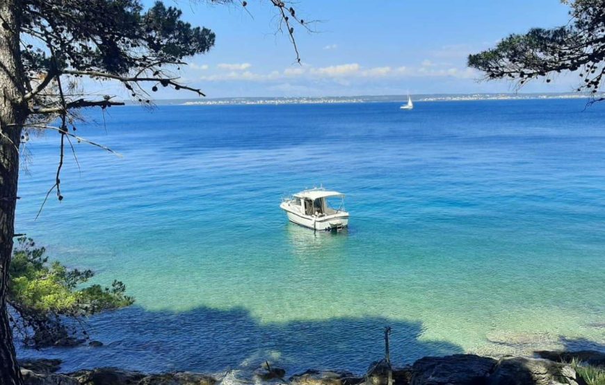 Zadar: Besuch von Inseln und Lagunen mit Bio-Obst und Getränken
